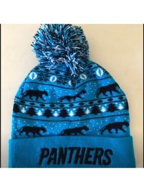 Carolina Panthers Beanie Hat With Pom  Pom Warm Winter
